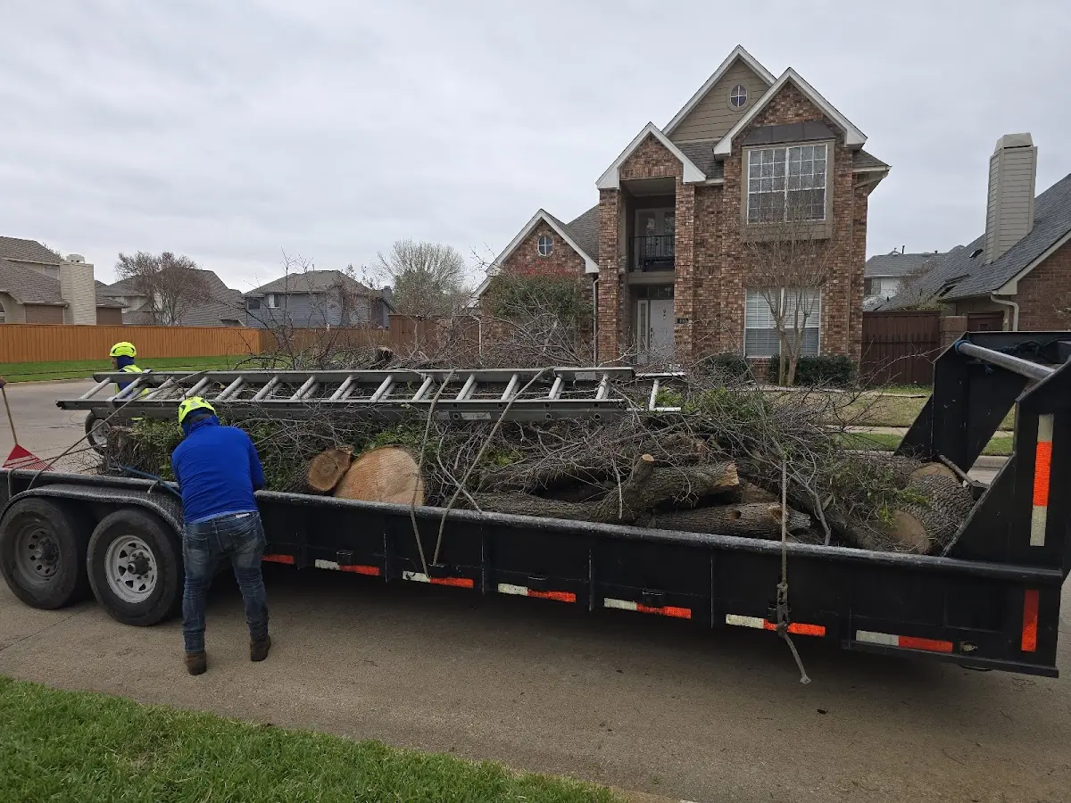 Expert Tree Fertilization with proper safety equipment in Blandinsville